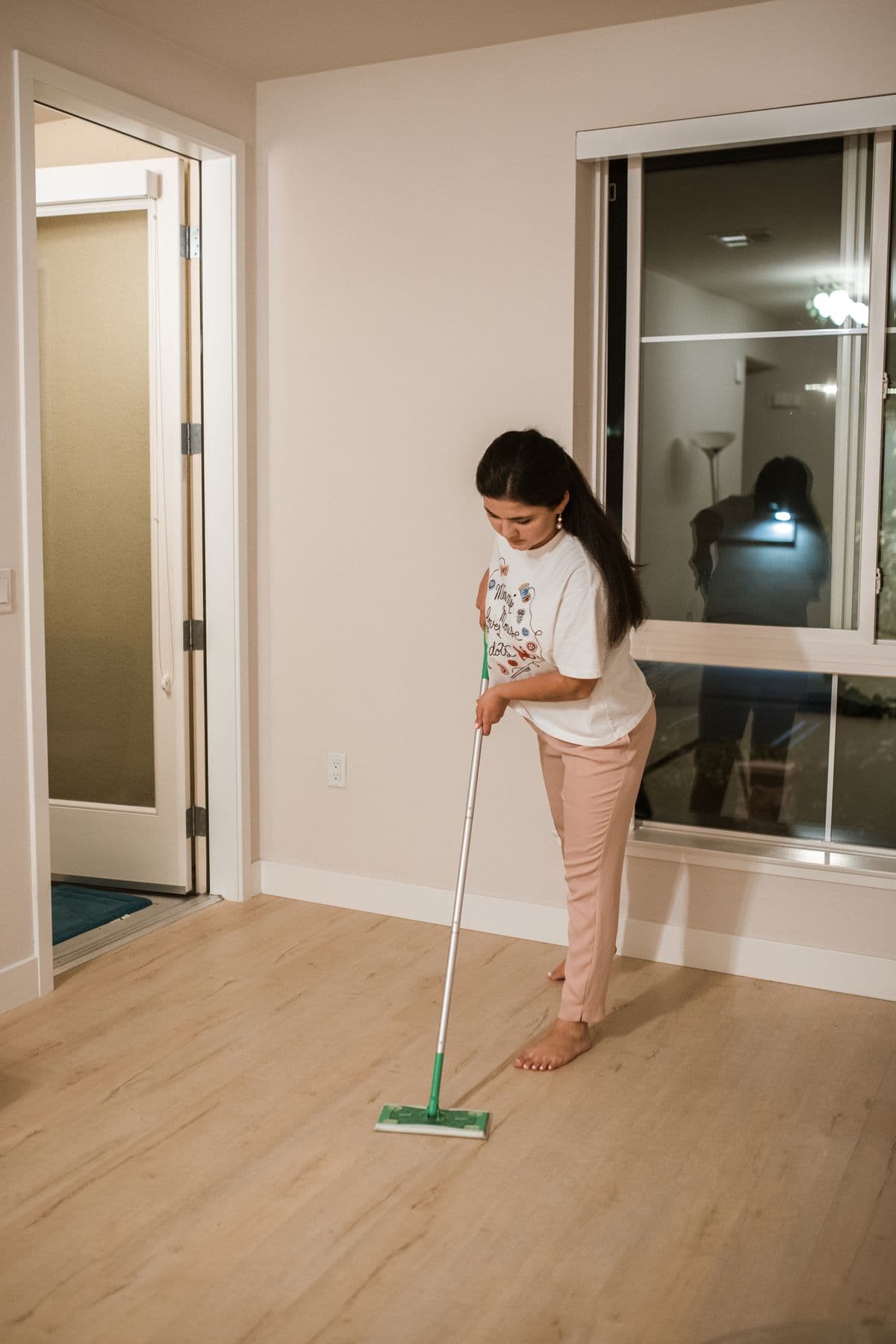Professional home cleaning